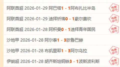“纽卡2-0切尔西：伊萨克进球，迪萨西乌龙送礼”